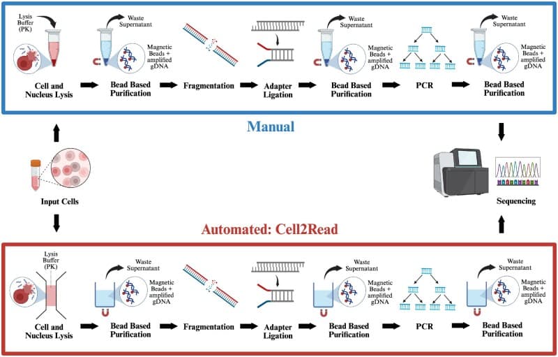 Figure 1 from the Cell2Read workflow paper