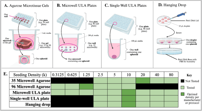 Figure 1 from the HepG2 spheroid generation comparison