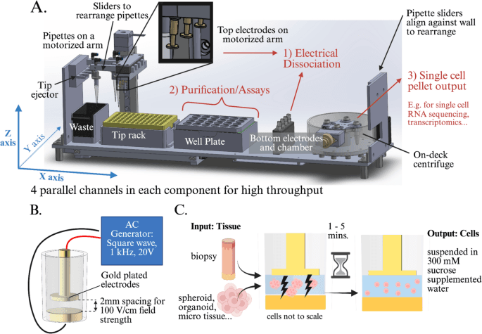 Figure 1 from the enzyme-free tissue dissociation paper